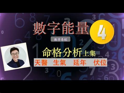 天醫 延年|【天醫 延年 生氣】解鎖你的數字運勢：天醫、延年、生氣號碼全。